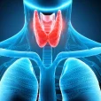 Underactive Thyroid image 2