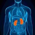 Nephrotic Syndrome